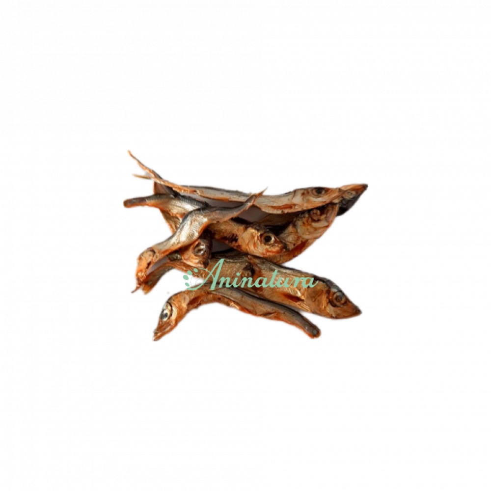 ANINATURA ANCHOAS SECAS