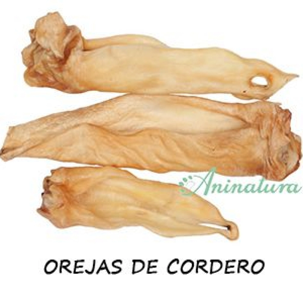 ANINATURA OREJAS