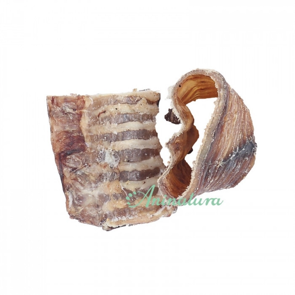 ANINATURA TRÁQUEA DE VACUNO ANINATURA TRÁQUEA DE VACUNO