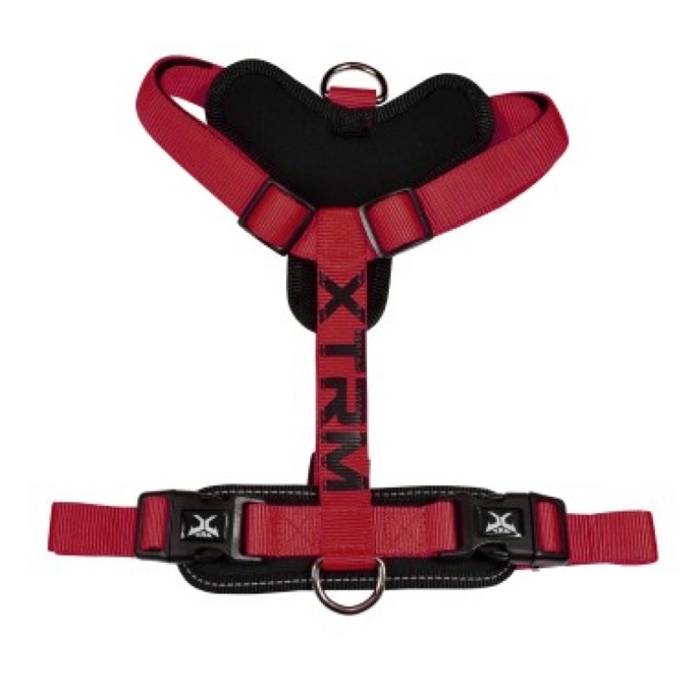 ARNÉS XTRM CRONOS S