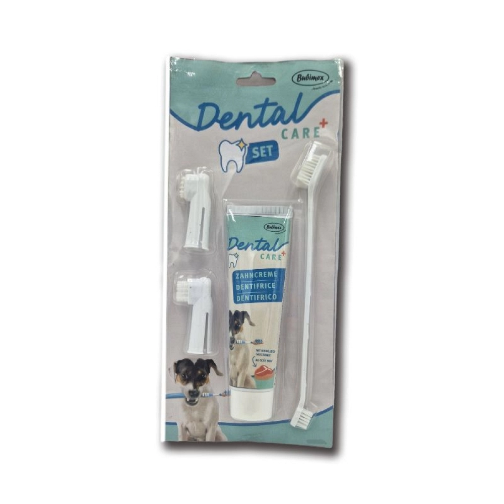 BUMIXEX KIT DENTAL