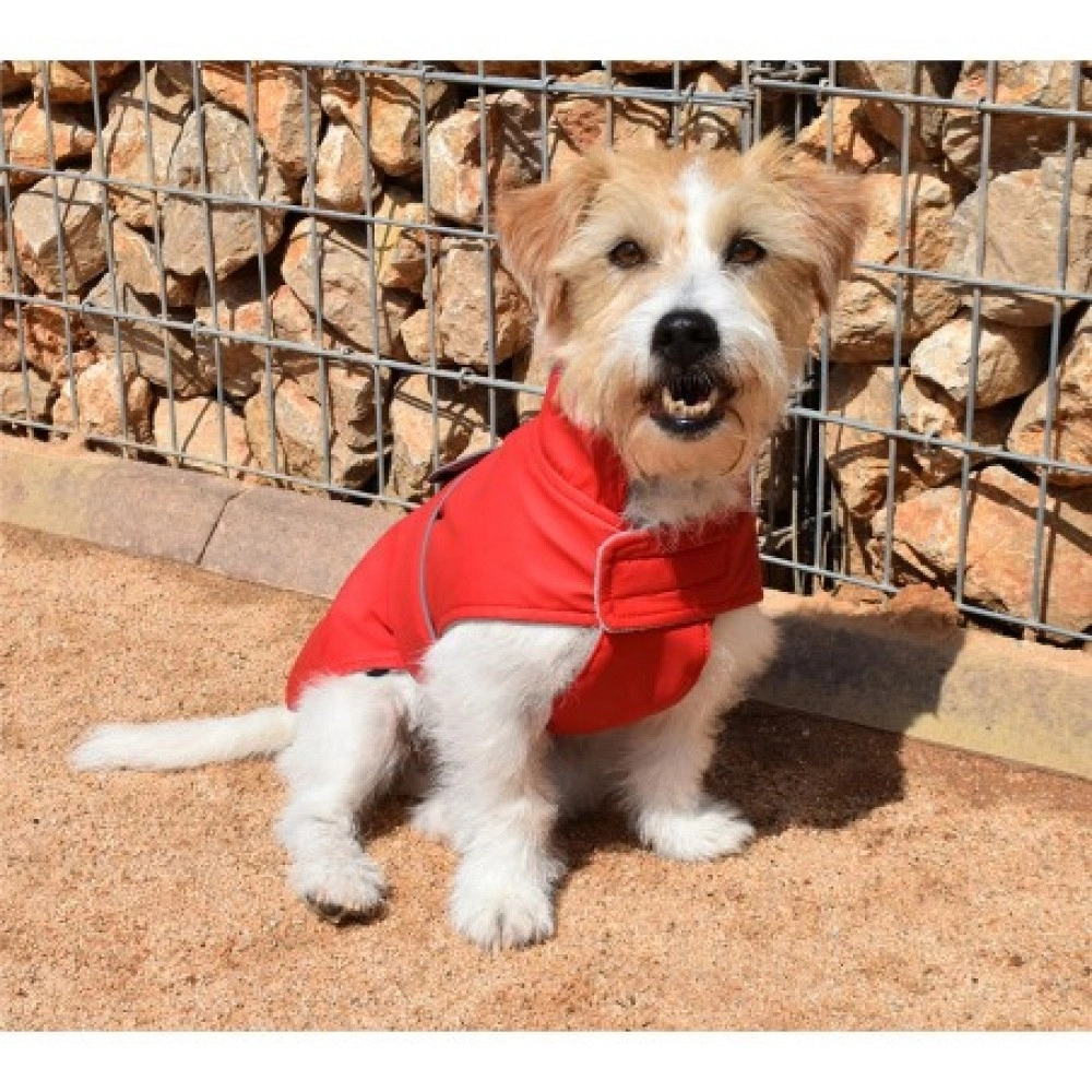 CHUBASQUERO DANCIN RAIN VERDE