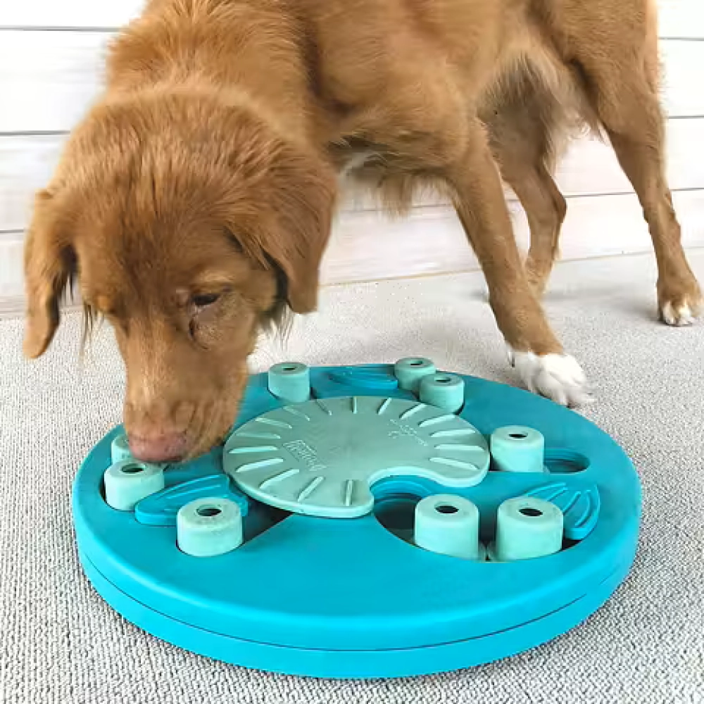 DOG WORKER