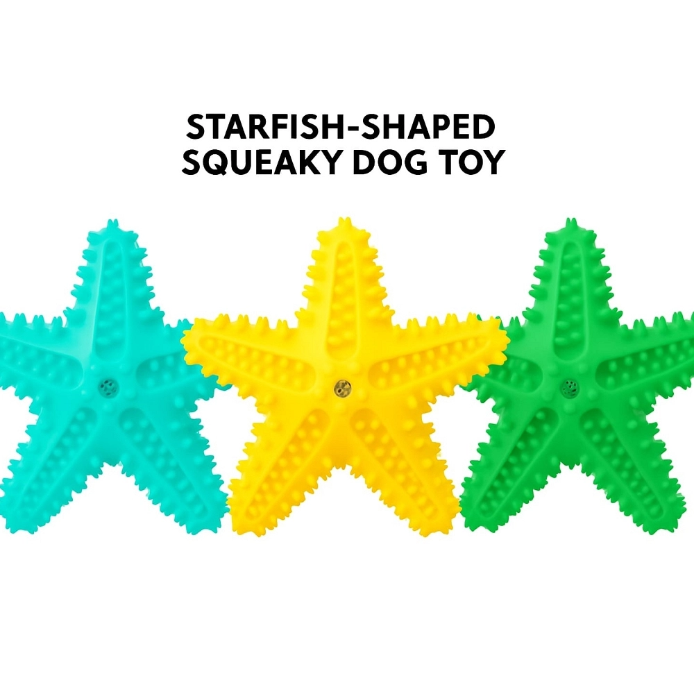 ESTRELLA DE MAR CON PINCHOS