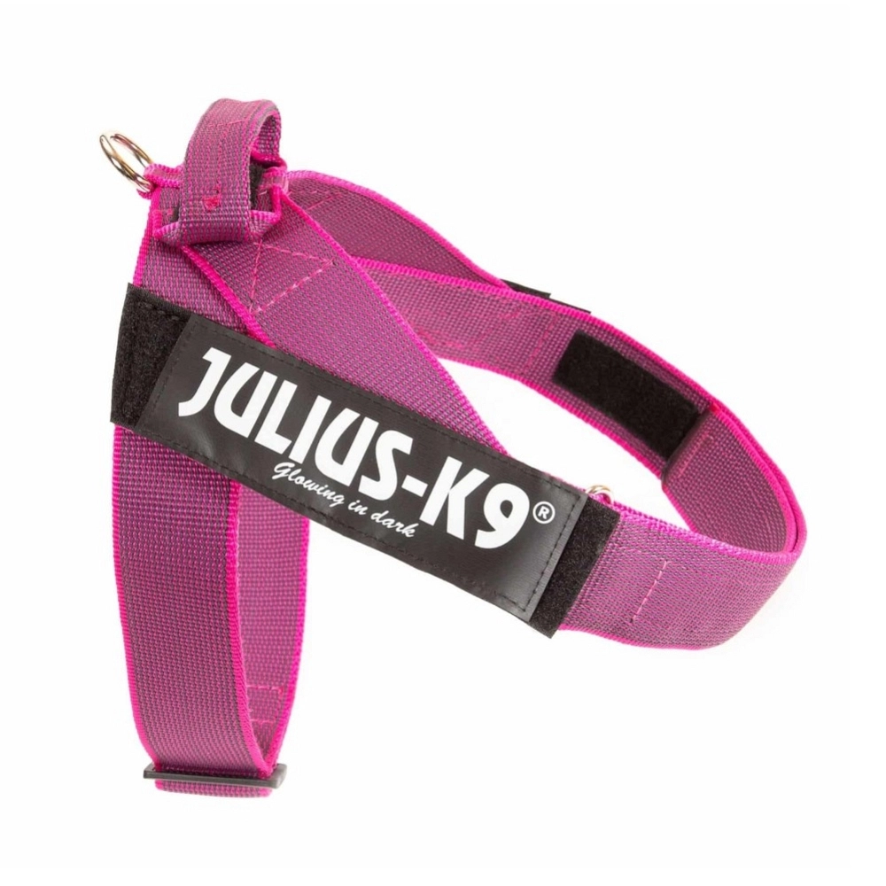 JULIUS K9 DE CINTA M/ 0