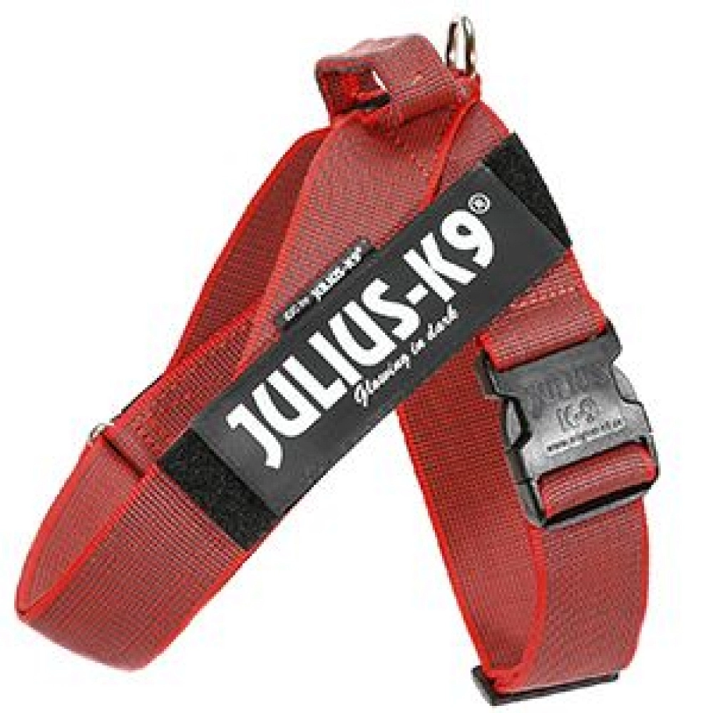 JULIUS K9 DE CINTA MINI