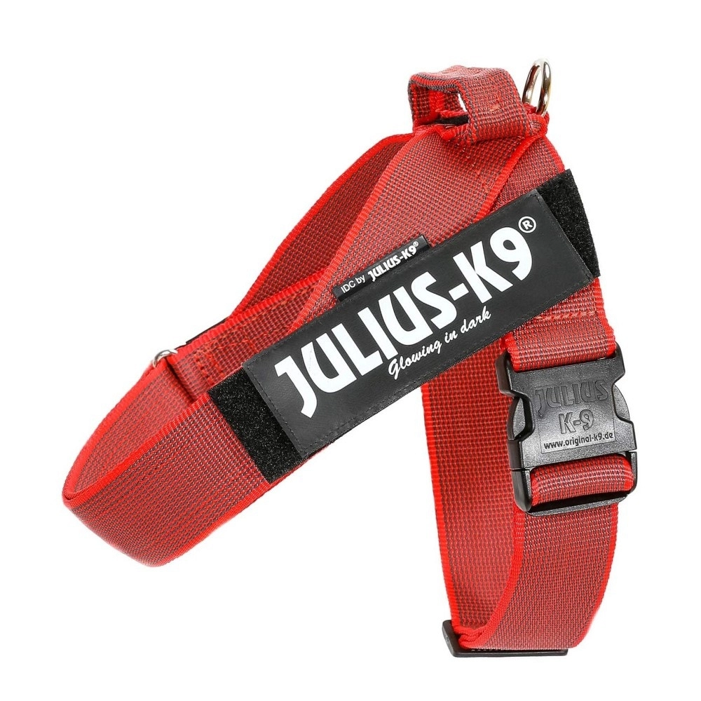 JULIUS K9 DE CINTA XL/ 2