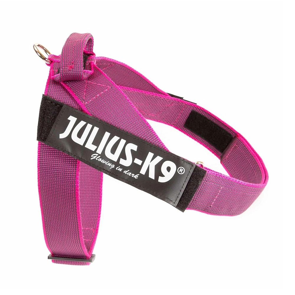 JULIUS K9 DE CINTA XL/ 2