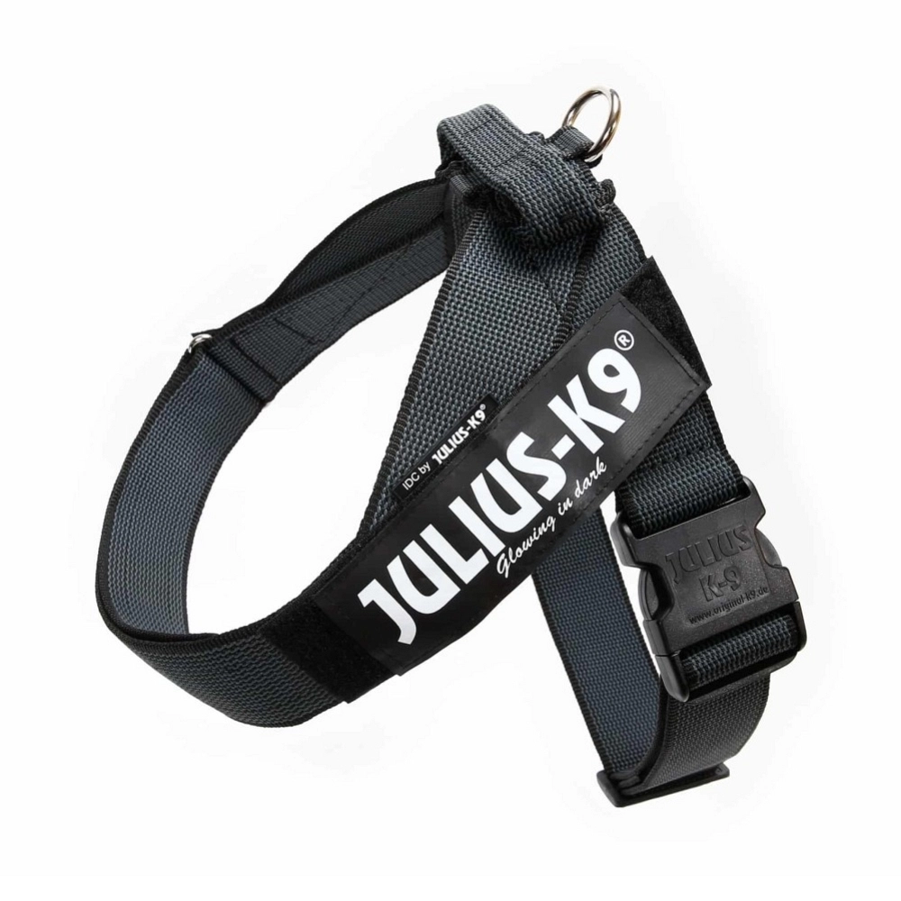 JULIUS K9 DE CINTA XS/ MINI MINI