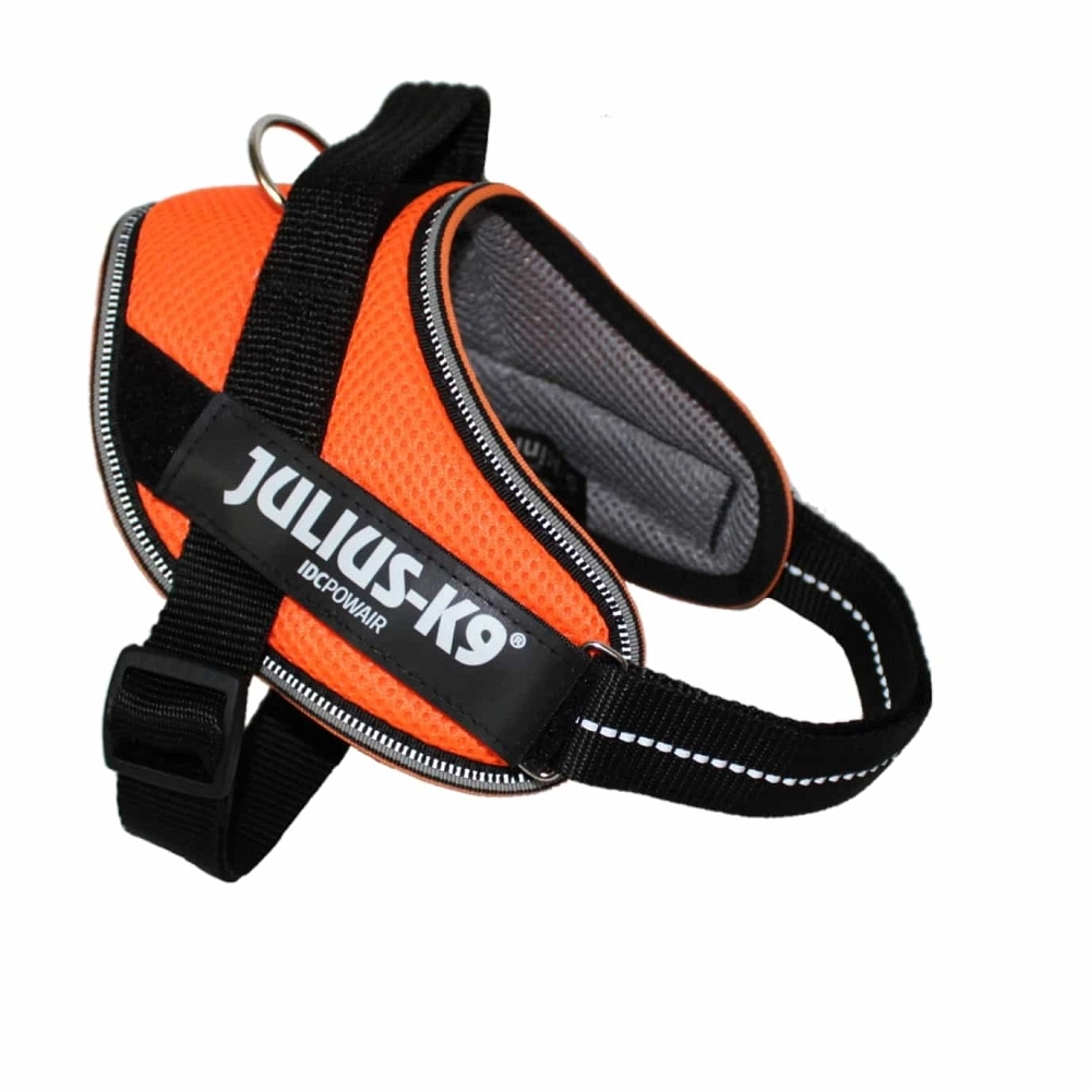 JULIUS K9 IDC POWAIR XL/ 2