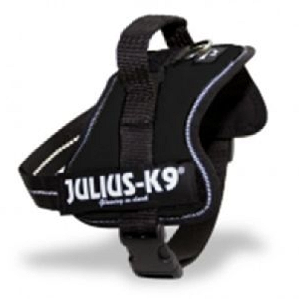 JULIUS K9 POWER 1