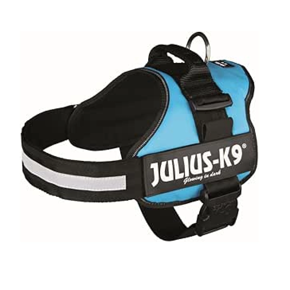 JULIUS K9 POWER L/ 1