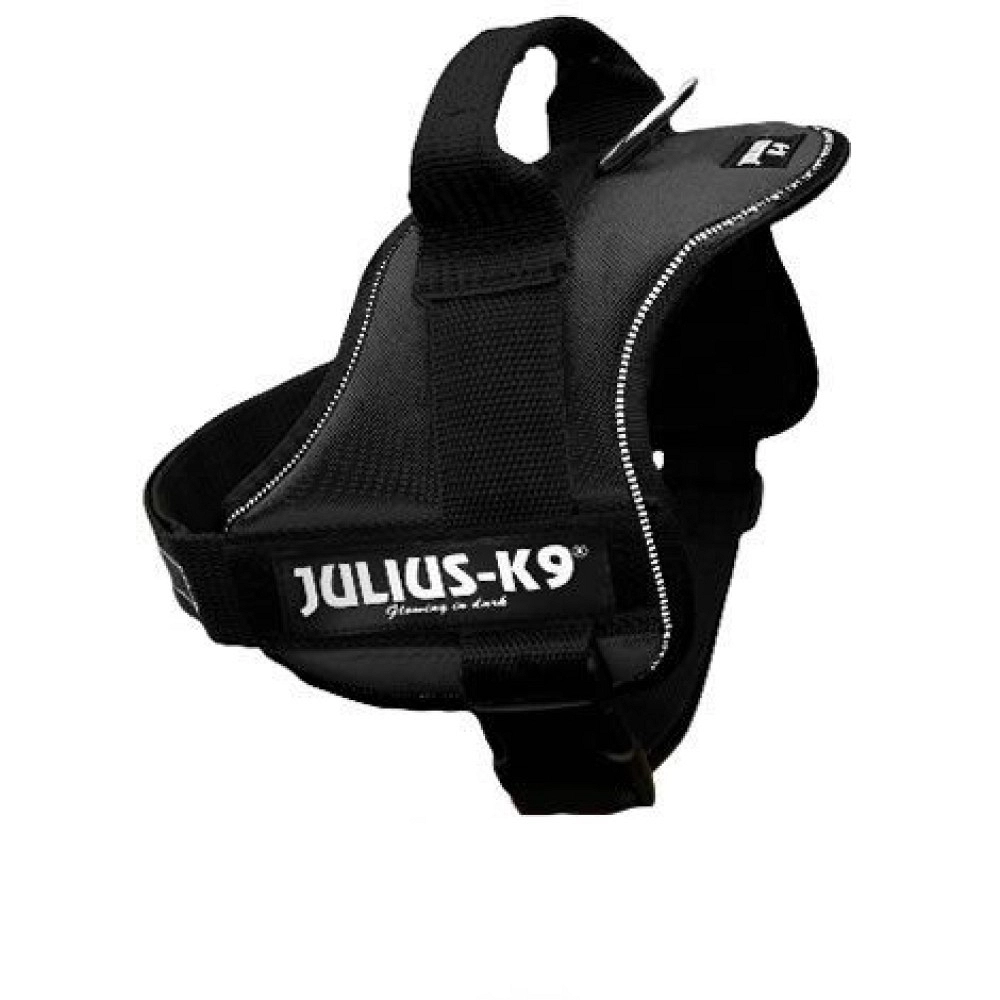 JULIUS K9 POWER M/ 0