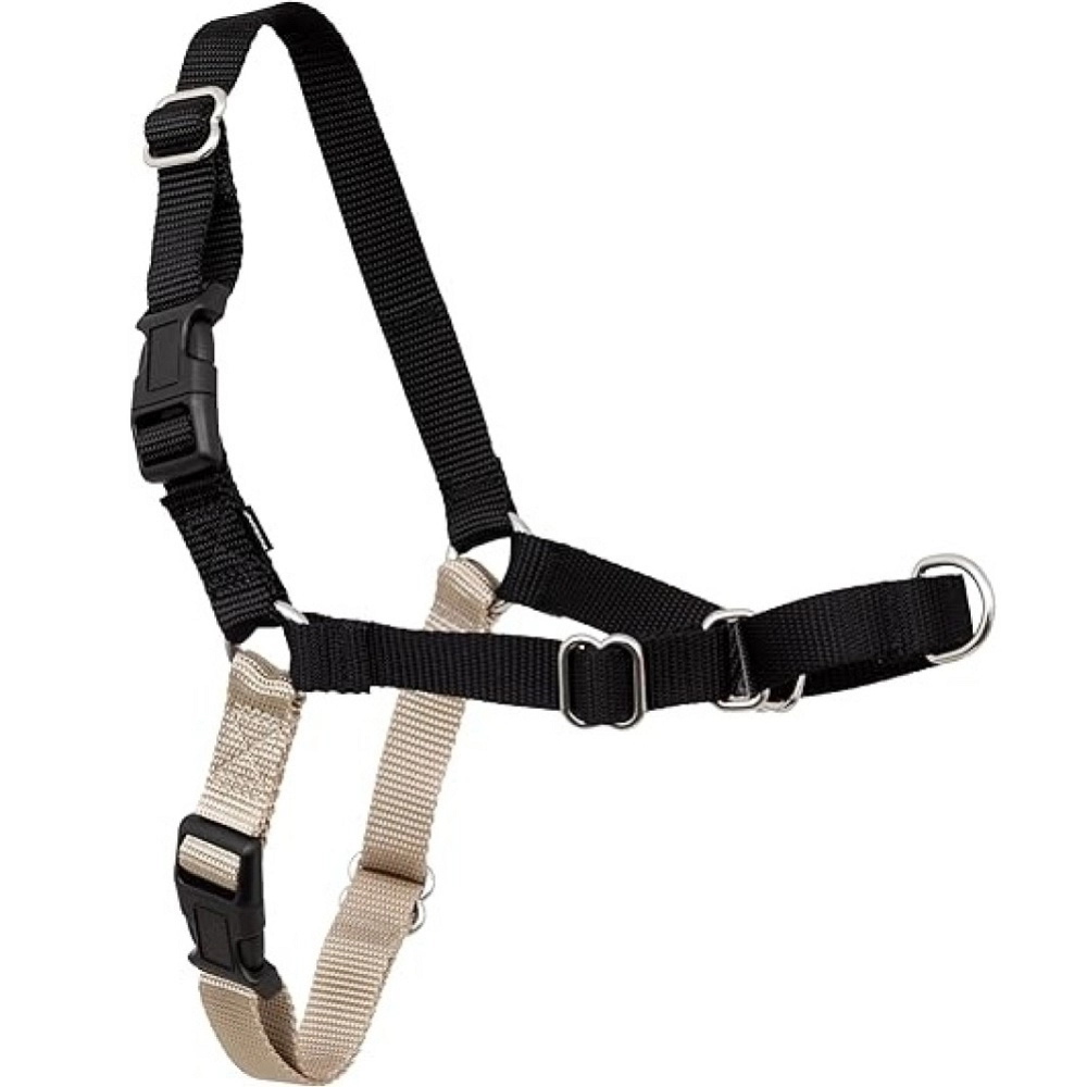 PETSAFE ARNÉS EASY WALK