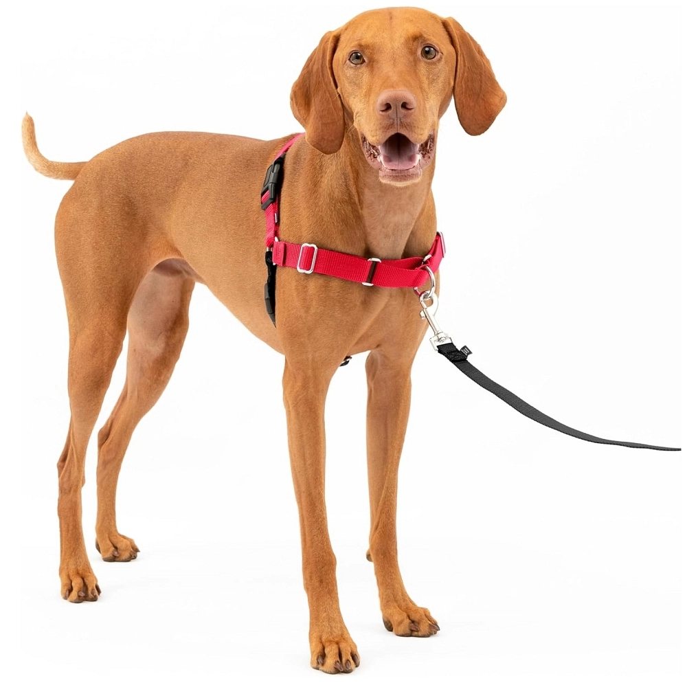 PETSAFE ARNÉS EASY WALK