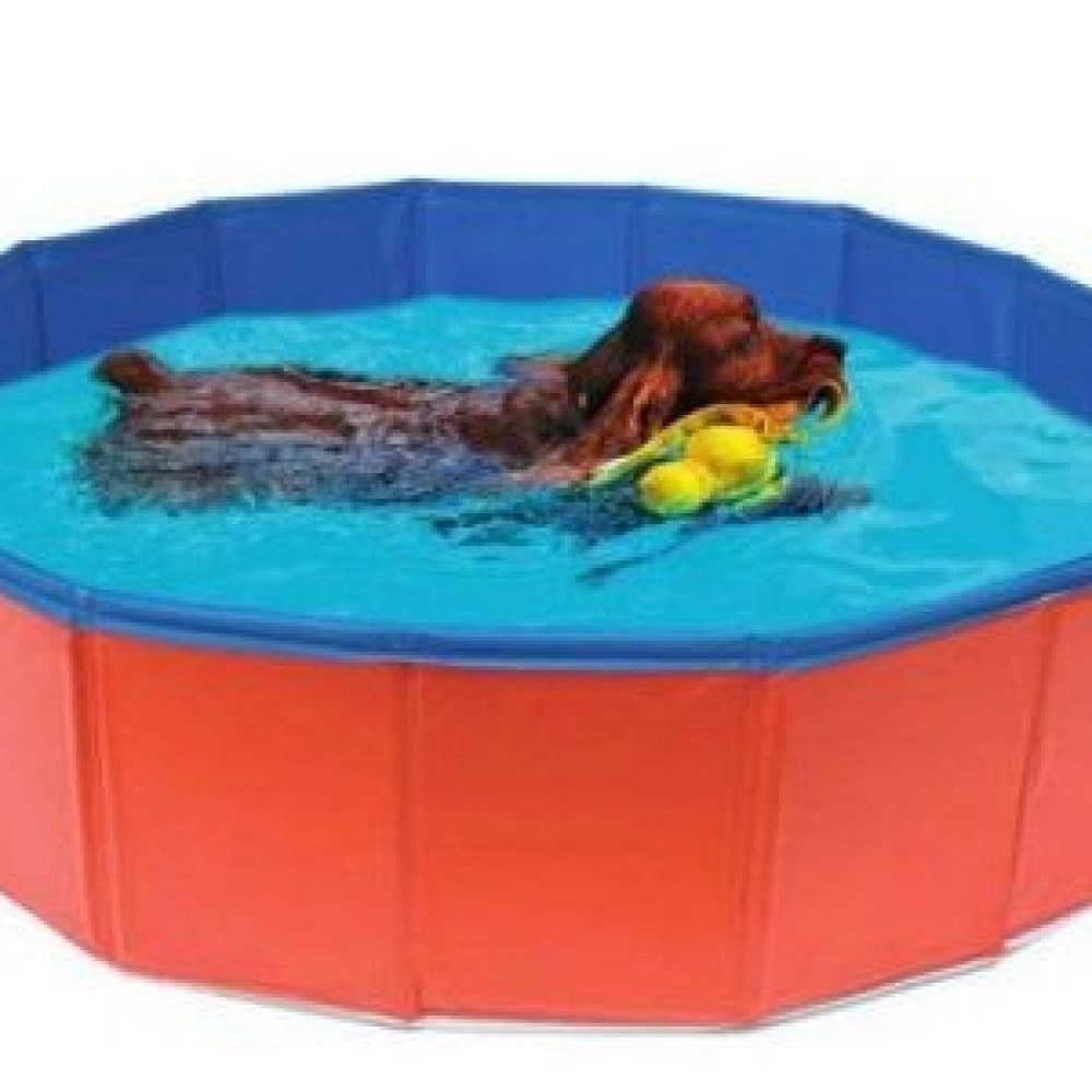 PISCINA PARA PERROS