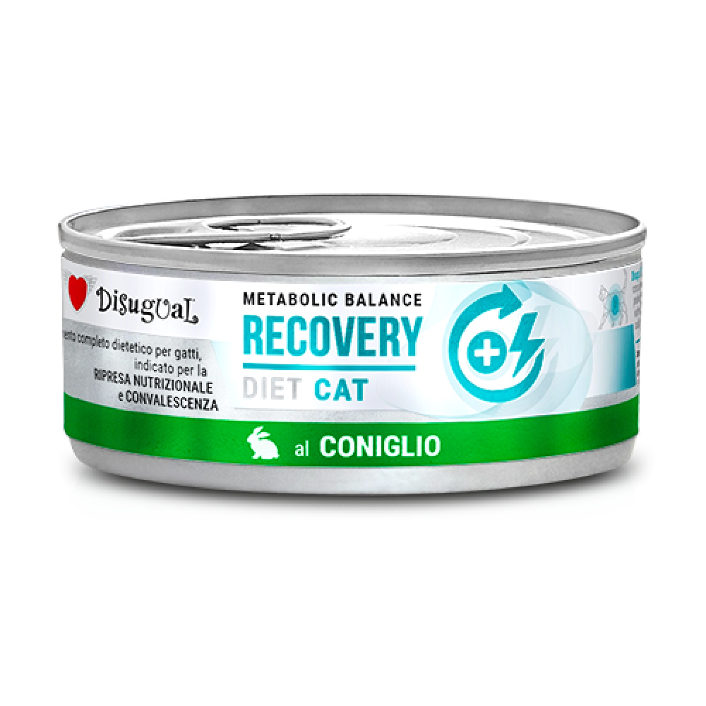 RECOVERY 85gr