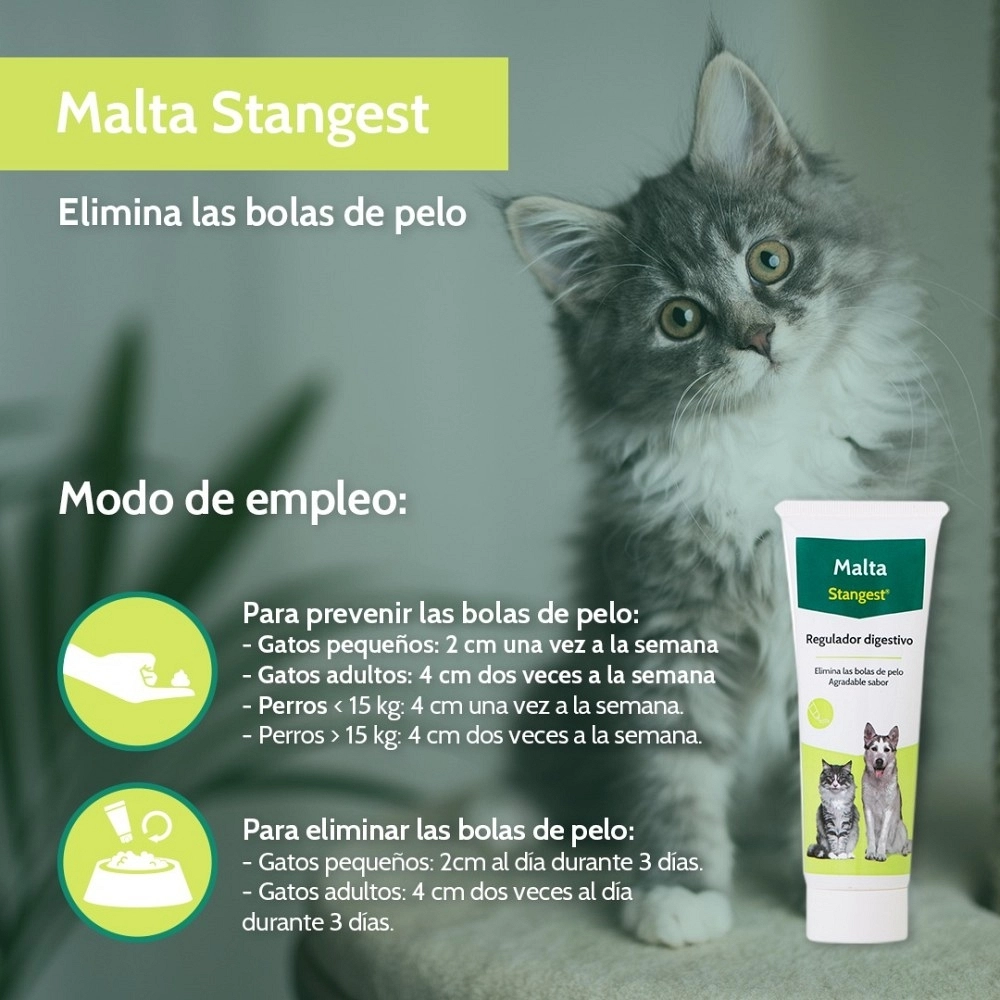 STANGEST MALTA
