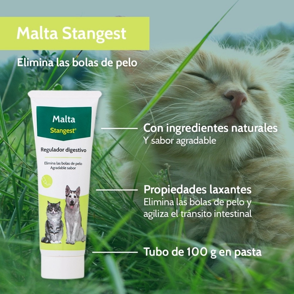 STANGEST MALTA